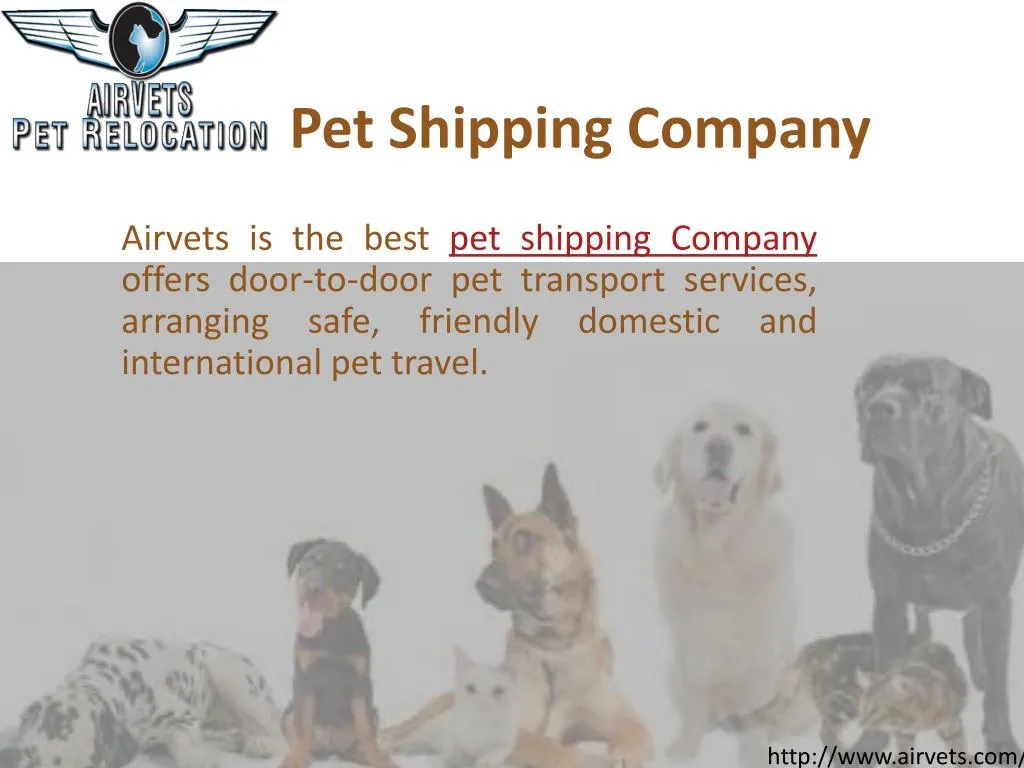 pet shipping company