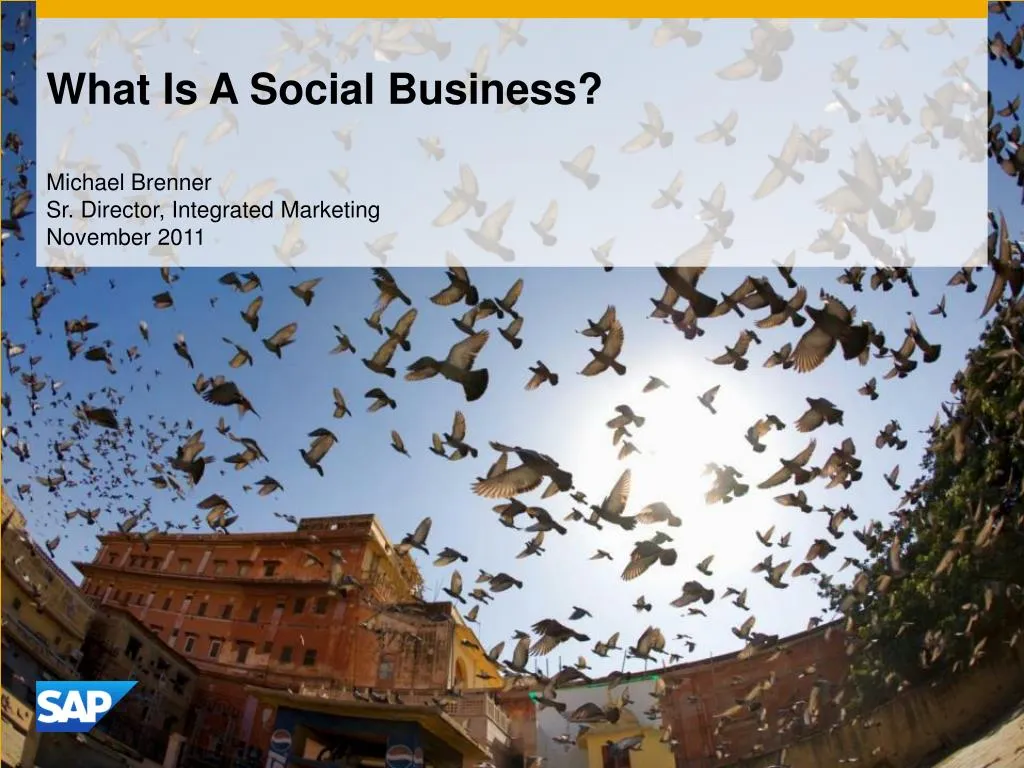 what is a social business