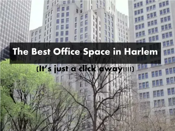 Best Office Space in Harlem