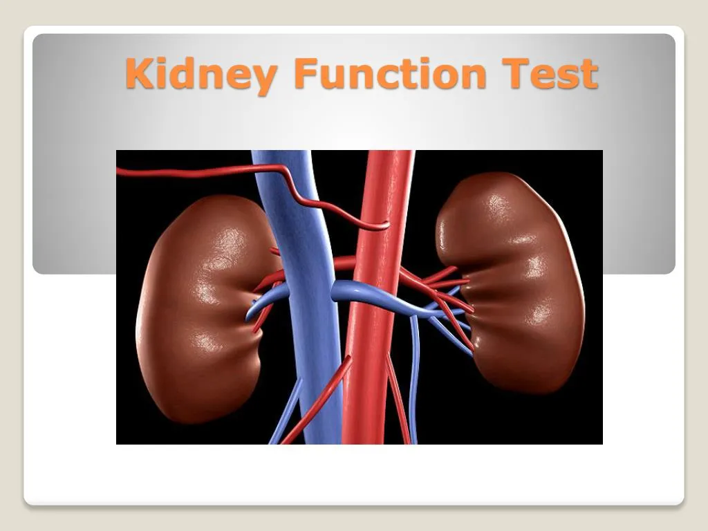 kidney function test