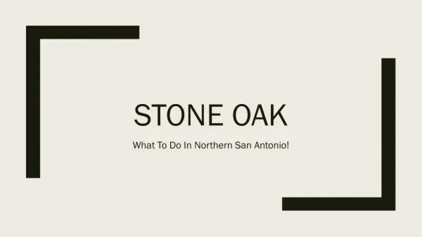 Stone oak | BBQ near stone oak 