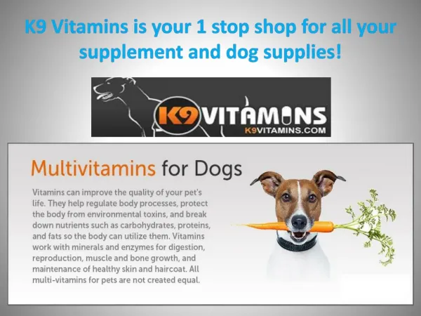K9 Vitamins is your 1 stop shop for all your supplement and dog supplies!