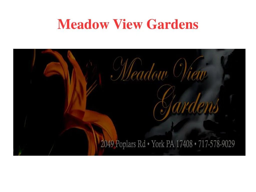 meadow view gardens