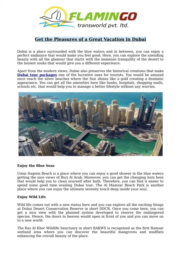 Spend a Great Vacation in Dubai | Flamingo Travels