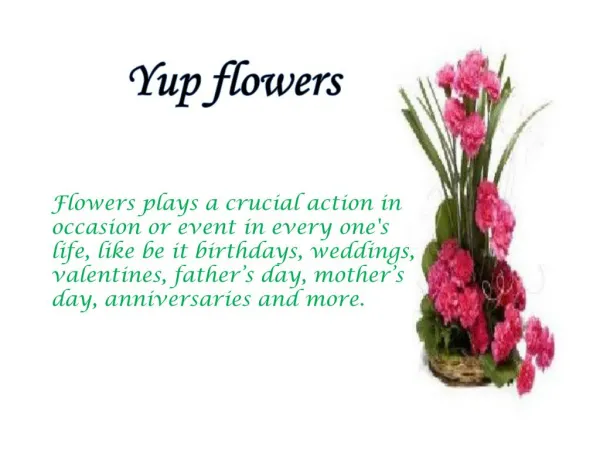 Shop Flower Bouquet Online From Yupflowers