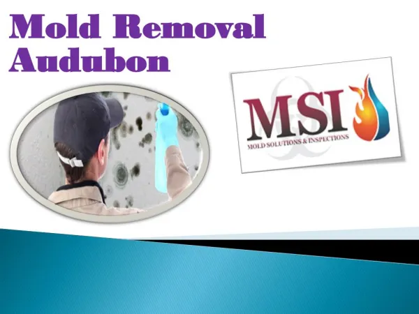 Mold Removal Audubon