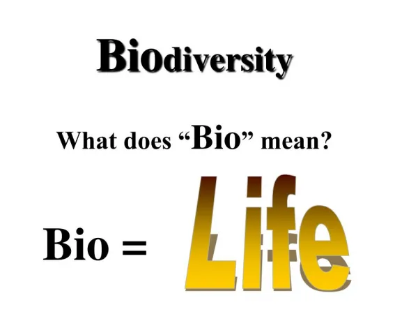 biodiversity