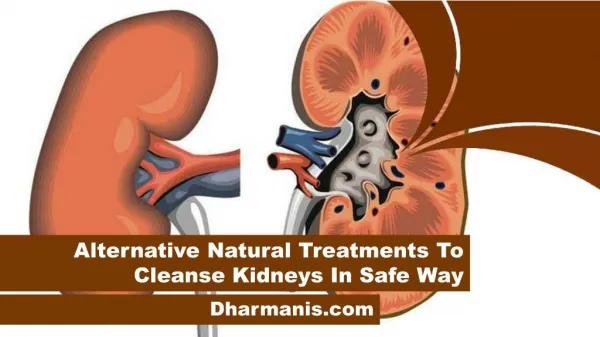 Alternative Natural Treatments To Cleanse Kidneys In Safe Way