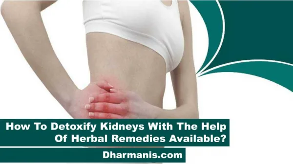How To Detoxify Kidneys With The Help Of Herbal Remedies Available?