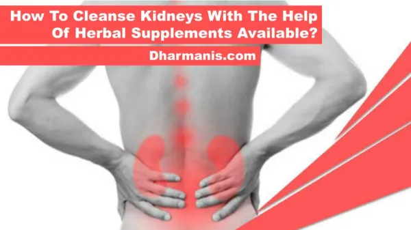 How To Cleanse Kidneys With The Help Of Herbal Supplements Available?