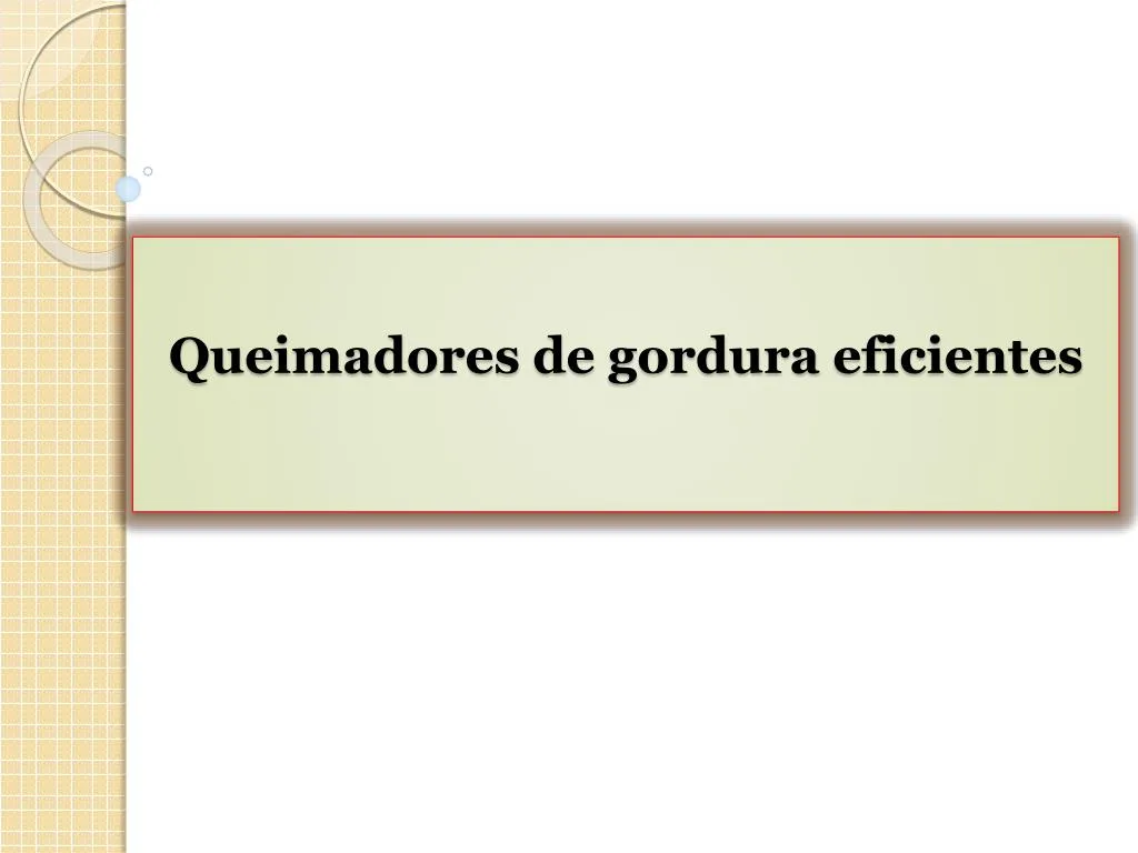 queimadores de gordura eficientes