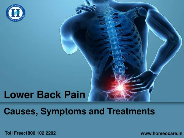 Lower Back Pain | Causes, Symptoms and Treatments