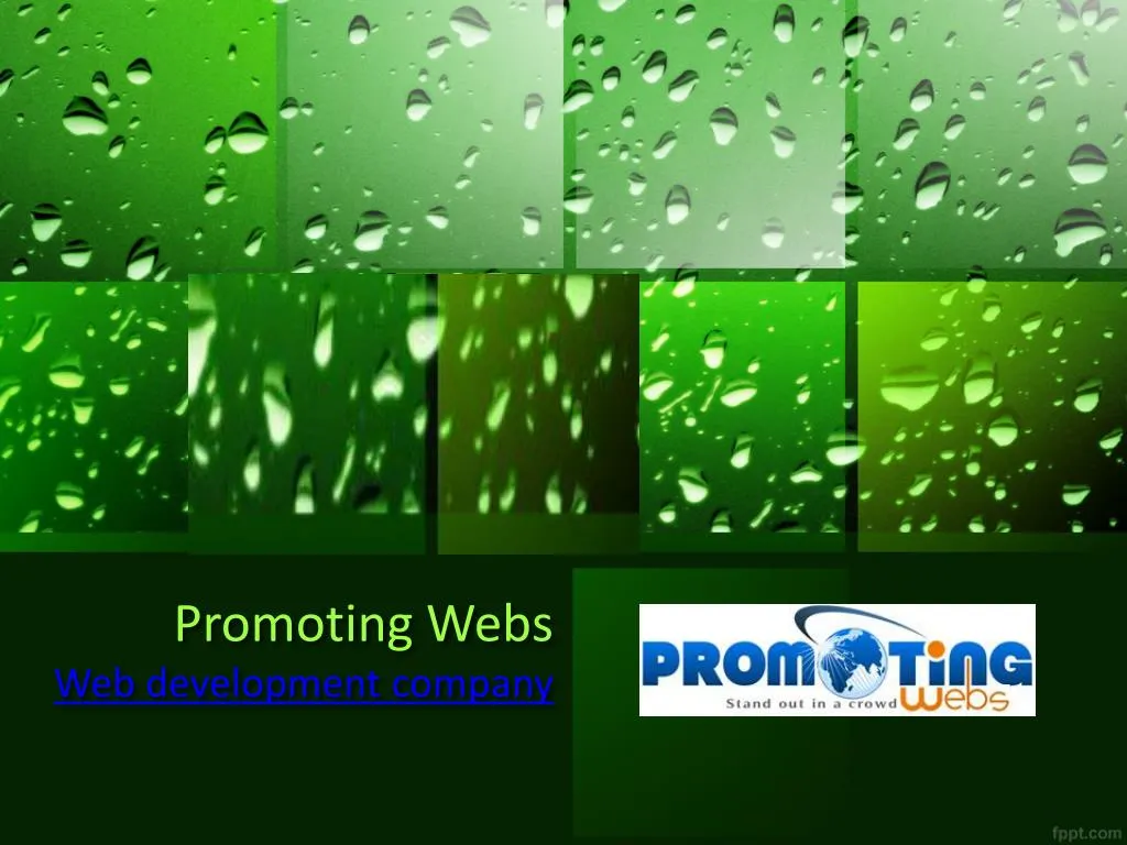 promoting webs web development company