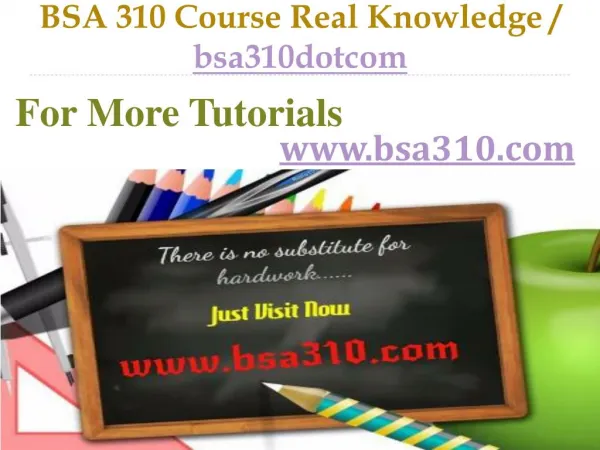BSA 310 Course Real Knowledge / bsa310dotcom
