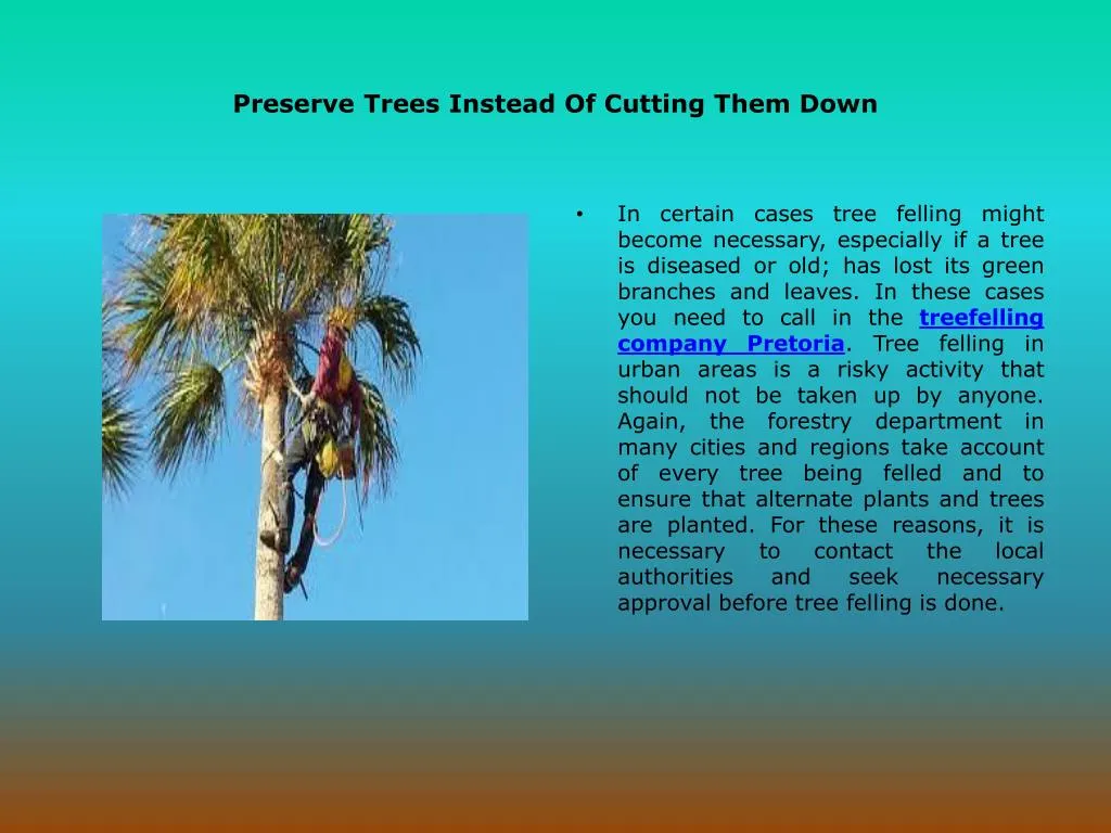 preserve trees instead of cutting them down
