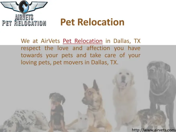 Pet Relocation