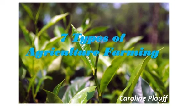 7 Types of Agriculture Farming - Caroline Plouff