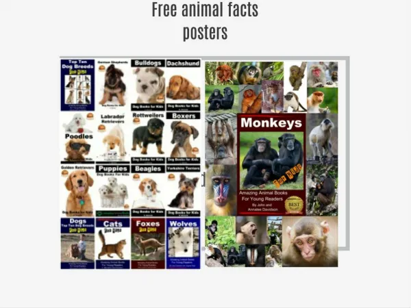 free animal facts posters