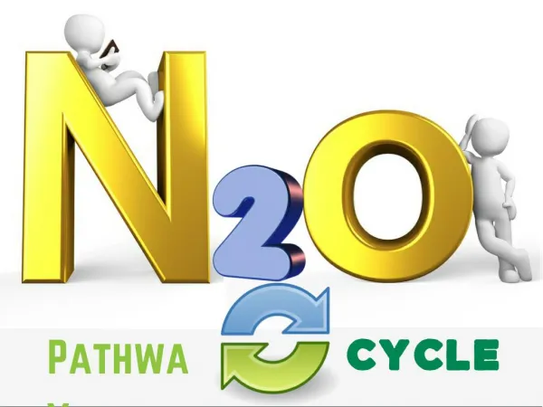 N2O Pathway N cycle