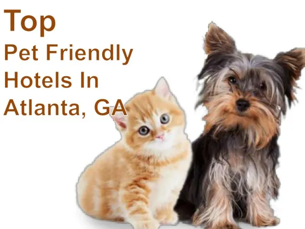 Pet Friendly Hotels in Atlanta, Georgia | TripsWithPets.com