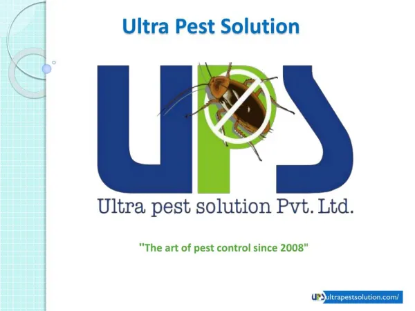 Ultra Pest Solutions - Leading Pest Control and Pest Management Company in Surat