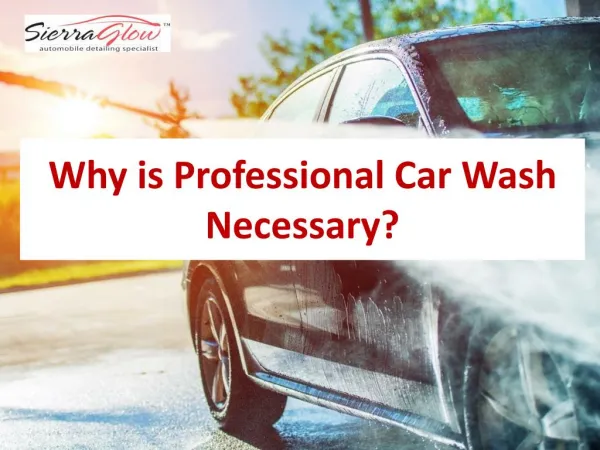 Why is Professional Car Wash Necessary?