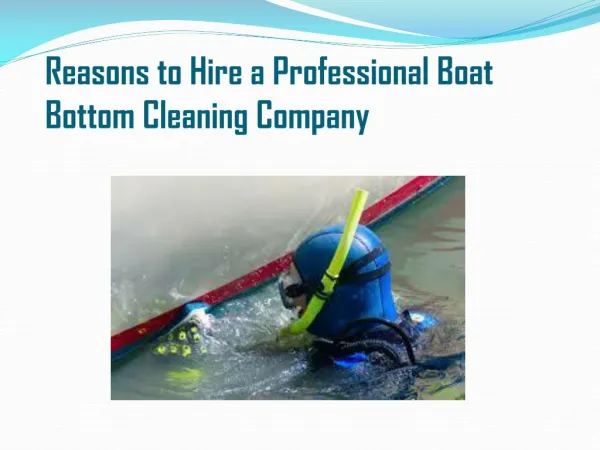 Reasons to Hire a Professional Boat Bottom Cleaning Company