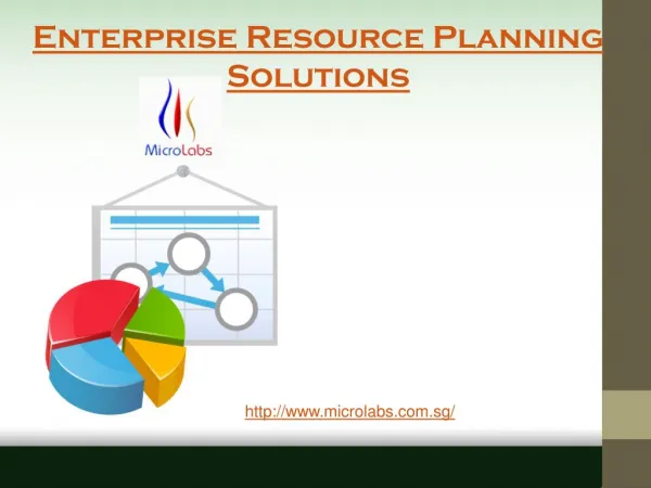 Best Enterprise Resource Planning Solutions Providers in Singapore