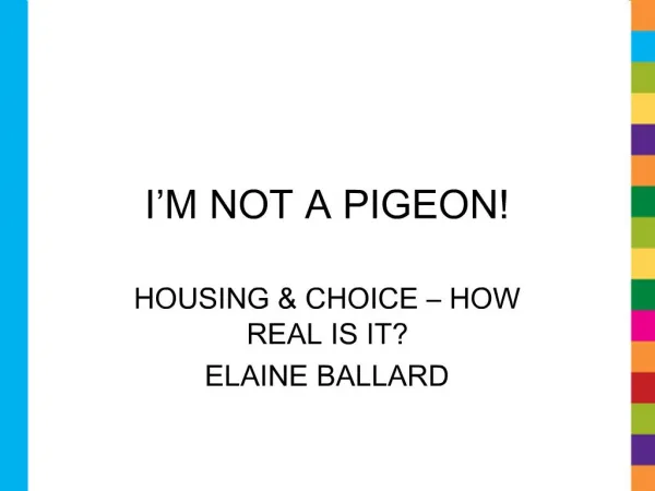 I M NOT A PIGEON
