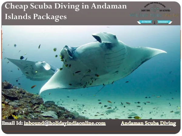 Cheap Scuba Diving in Andaman Islands Packages in India