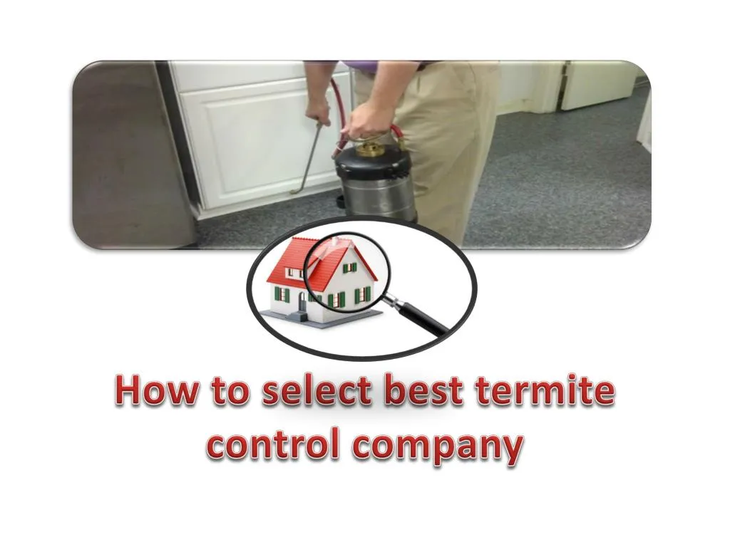 how to select best termite control company