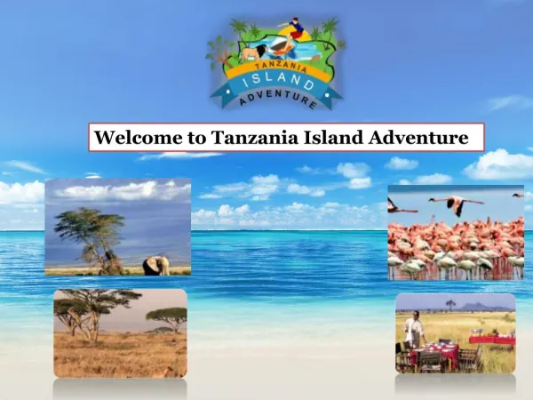 Welcome to Tanzania Island Adventure