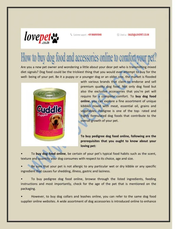 How to buy doy food and accessories online to confort your pet