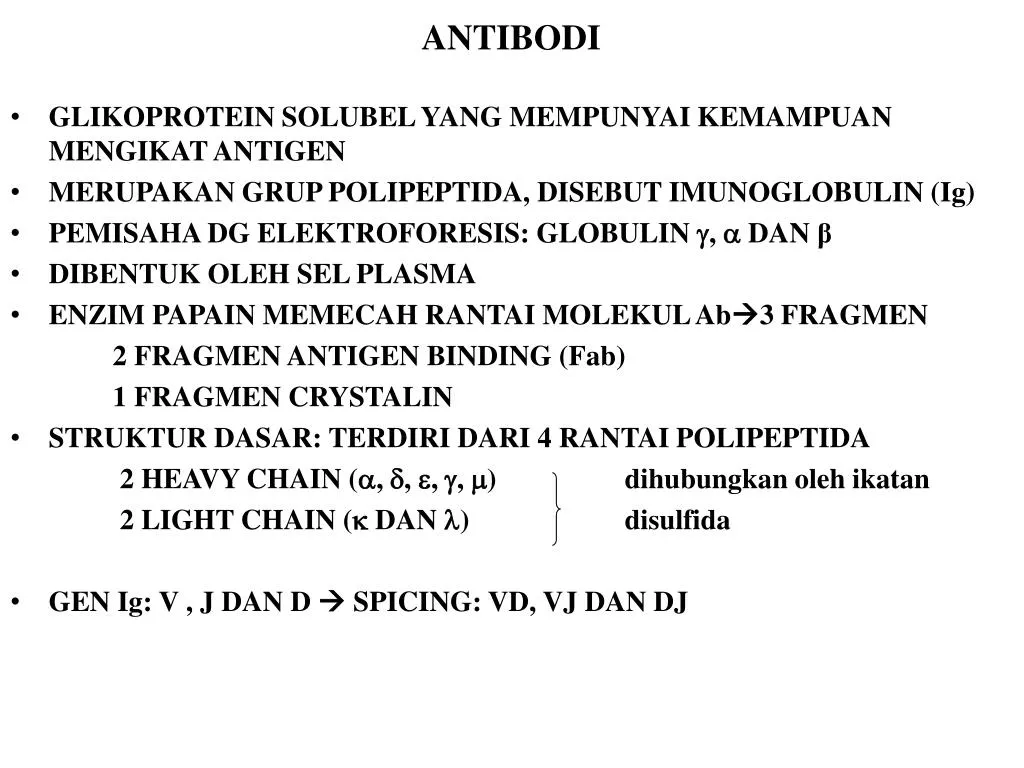 antibodi