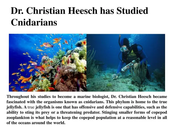 Dr. Christian Heesch has Studied Cnidarians