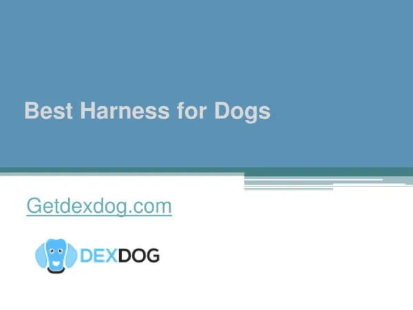 Best Harness for Dogs - Getdexdog.com
