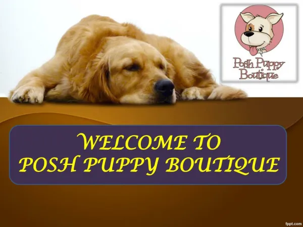 WELCOME TO POSH PUPPY BOUTIQUE