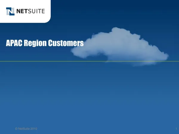 NetSuite cloud program offered by BM Online NetSuite.