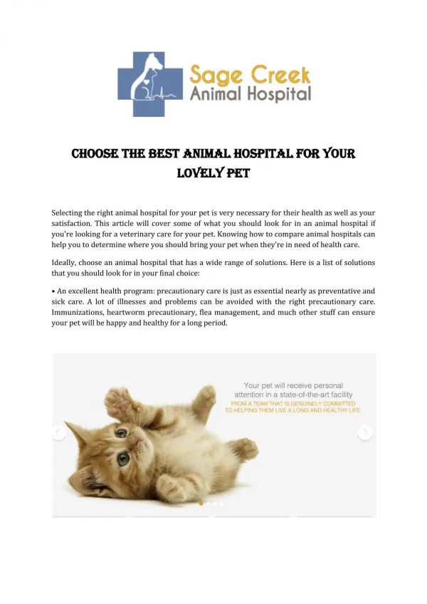 Choose The Best Animal Hospital For Your Lovely Pet
