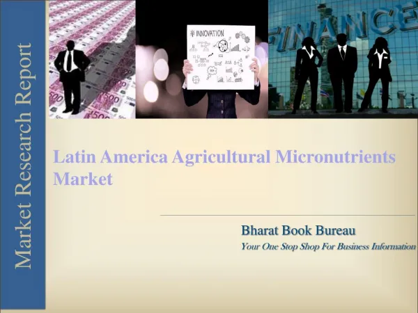 Latin America Agricultural Micronutrients Market