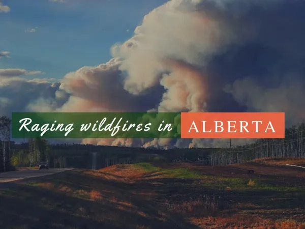 Raging wildfires in Alberta