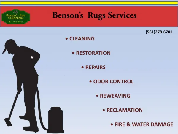 Area Rug Cleaning Services in Wellington