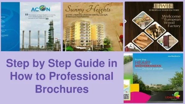 Step by Step Guide in How to Professional Brochures