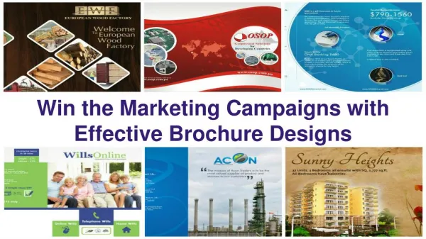 Win the marketing campaigns with effective brochure designs