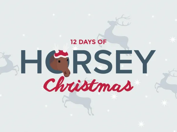 12 Days of Horsey Christmas