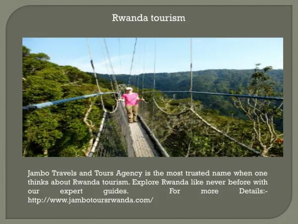 Rwanda primates tours and safaris