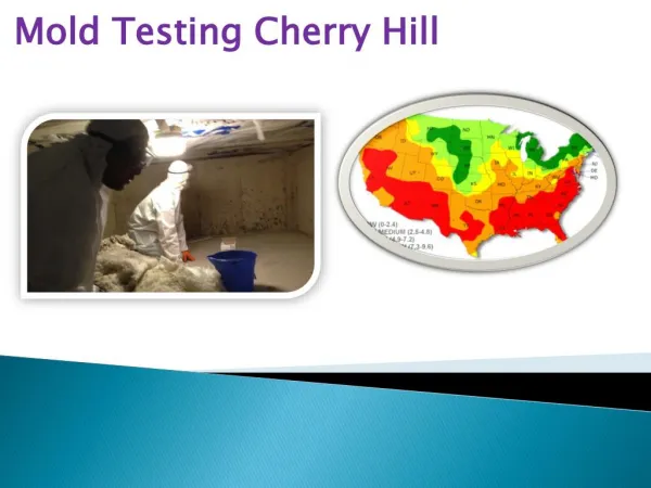 Mold Testing Cherry Hill