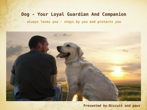 Dog - Your Loyal Guardian And Companion