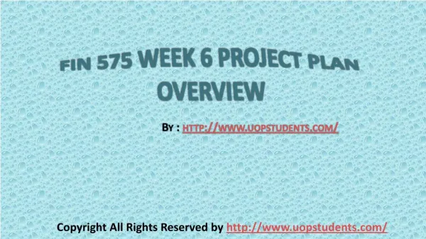 FIN 575 Week 6 Project Plan Overview