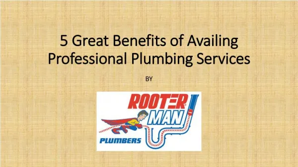 5 Great Benefits of Availing Professional Plumbing Services